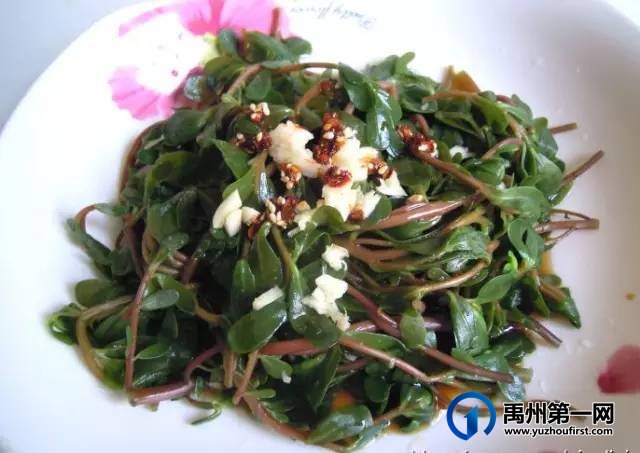 扩散周知!禹州农村遍地是宝!不知道的人却只当是...! 扩散周知!禹州农村遍地是宝!不知道的人却只当是...!