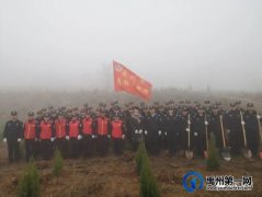 团结协作绿化环保，这些单位为禹州又添新绿​！
