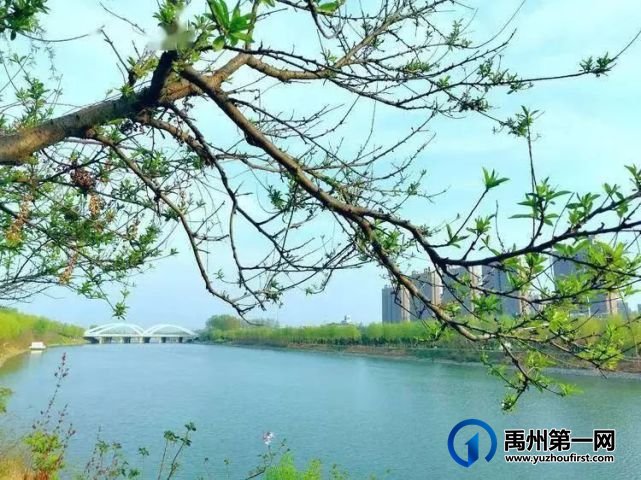 禹州颍河湖畔游人醉 禹州颍河湖畔游人醉