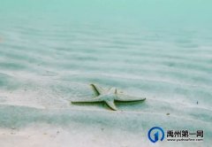 禹州金石星河湾精装样板间将于3月27日璀璨绽放