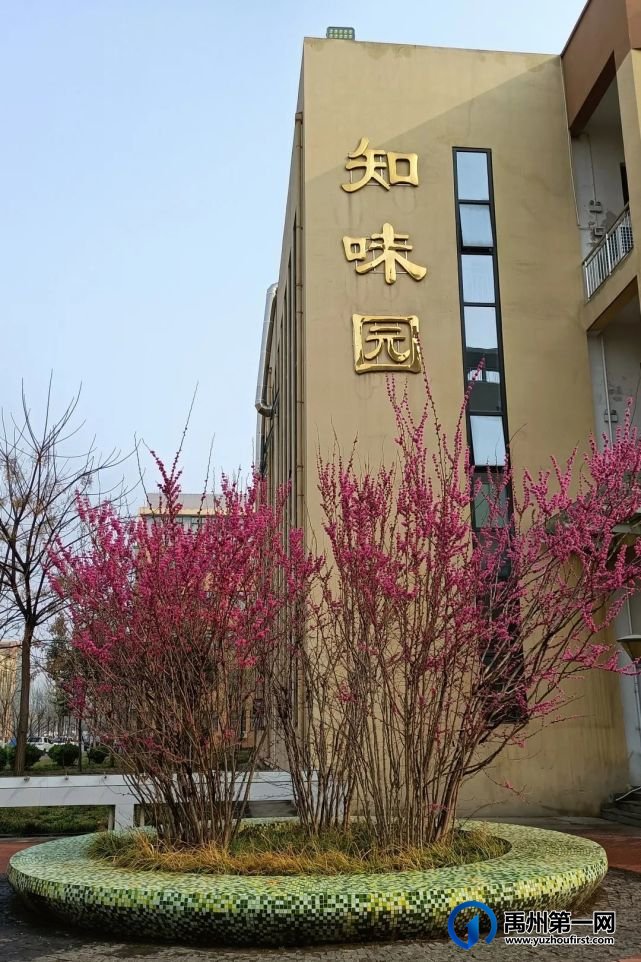 禹州市第一高级中学赏花何须长途跋涉 一高校内畅游花海 禹州市第一高级中学赏花何须长途跋涉 一高校内畅游花海