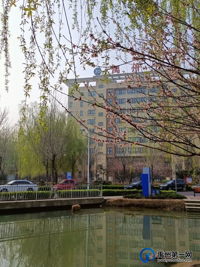 禹州市第一高级中学赏花何须长途跋涉 一高校内畅游花海 禹州市第一高级中学赏花何须长途跋涉 一高校内畅游花海