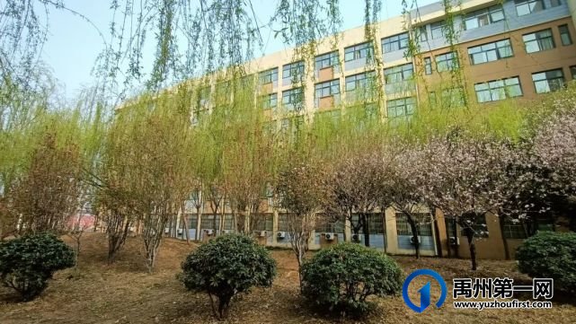 禹州市第一高级中学赏花何须长途跋涉 一高校内畅游花海 禹州市第一高级中学赏花何须长途跋涉 一高校内畅游花海