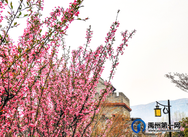 神垕古镇景区官微 神垕古镇景区官微