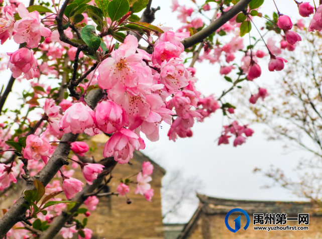 神垕古镇景区官微 神垕古镇景区官微
