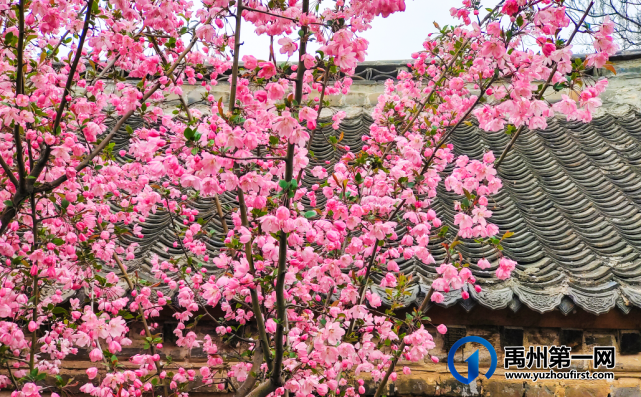 神垕古镇景区官微 神垕古镇景区官微