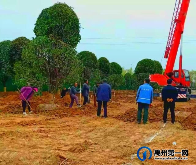 龙之翔禹王宫丨与雅致生活倾心相见,圆你诗意栖居的梦! 龙之翔禹王宫丨与雅致生活倾心相见,圆你诗意栖居的梦!
