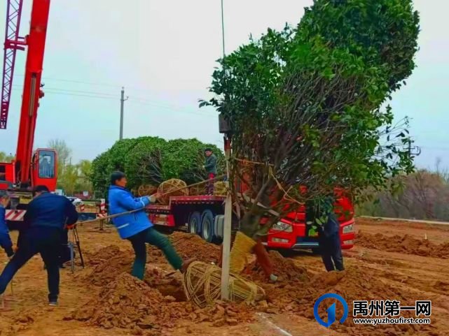 龙之翔禹王宫丨与雅致生活倾心相见,圆你诗意栖居的梦! 龙之翔禹王宫丨与雅致生活倾心相见,圆你诗意栖居的梦!