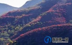 禹州的“治山书记”和“治山英雄”