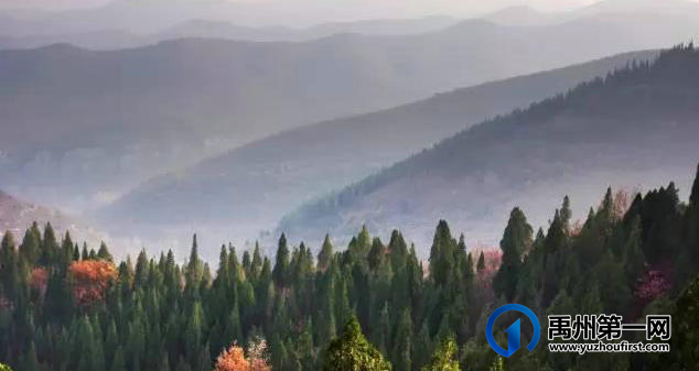 禹州的“治山书记”和“治山英雄” 禹州的“治山书记”和“治山英雄”