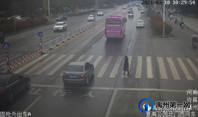 禹州曝光机动车不礼让行人、闯红灯车辆 禹州曝光机动车不礼让行人、闯红灯车辆