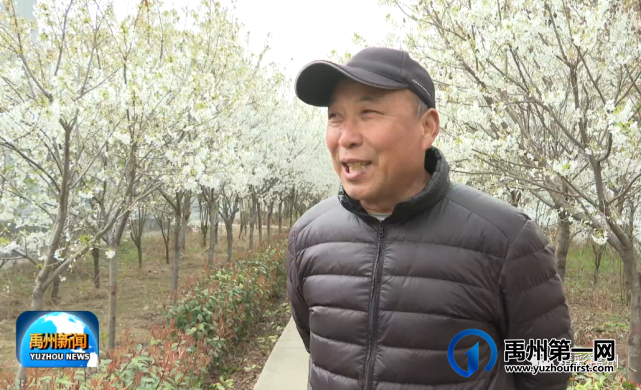禹州这里的昔日水沟变花园,群众纷纷笑开颜 禹州这里的昔日水沟变花园,群众纷纷笑开颜