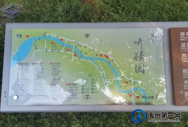 晨游听颍园 晨游听颍园