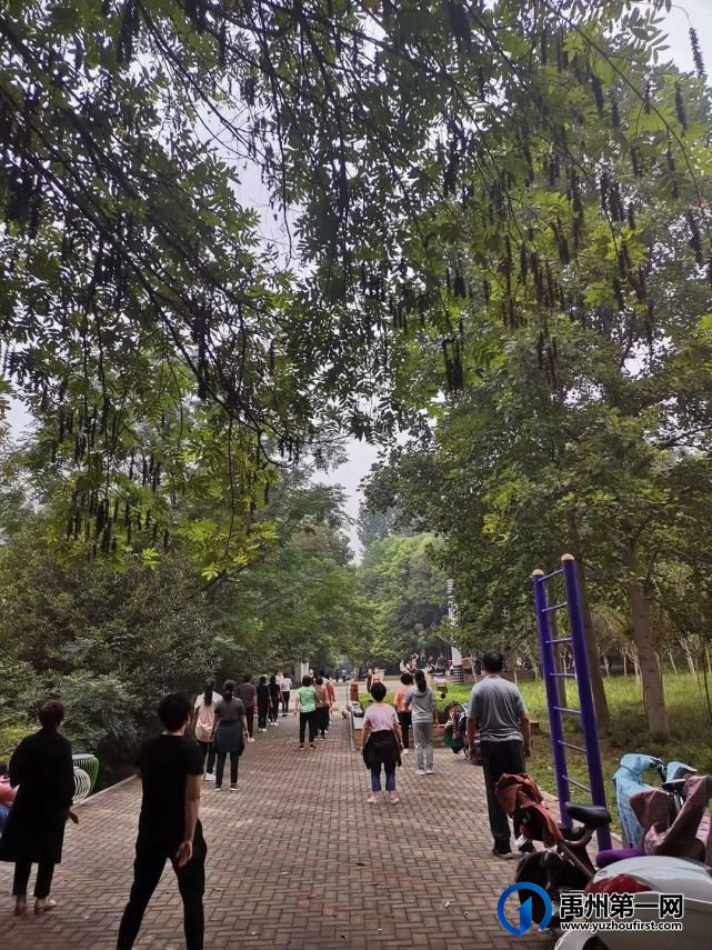 晨游听颍园 晨游听颍园