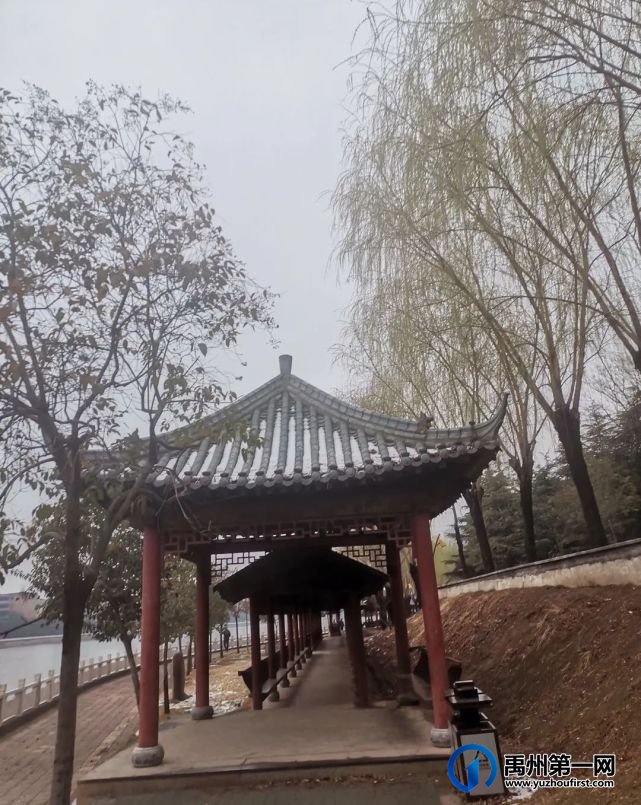 晨游听颍园 晨游听颍园