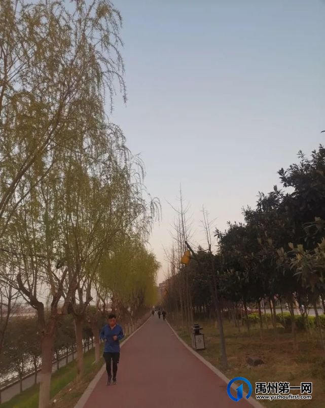 晨游听颍园 晨游听颍园