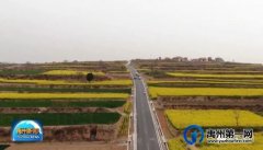 禹州这个地方种出了一幅黄绿相间的“格子画”