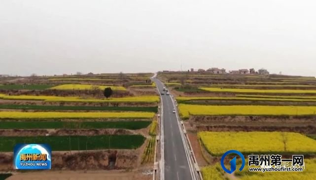 禹州这个地方种出了一幅黄绿相间的“格子画” 禹州这个地方种出了一幅黄绿相间的“格子画”
