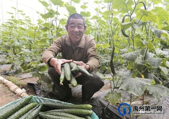 第六届梨花节美翻啦!快喊上你的小伙伴来赴梨花之约吧! 第六届梨花节美翻啦!快喊上你的小伙伴来赴梨花之约吧!