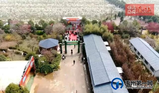 第六届梨花节美翻啦!快喊上你的小伙伴来赴梨花之约吧! 第六届梨花节美翻啦!快喊上你的小伙伴来赴梨花之约吧!