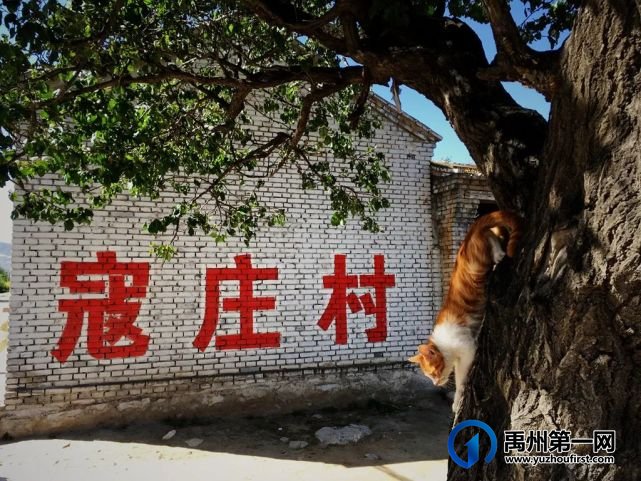 重磅!5宗地块拍出!禹州这些村镇或将有重要规划! 重磅!5宗地块拍出!禹州这些村镇或将有重要规划!
