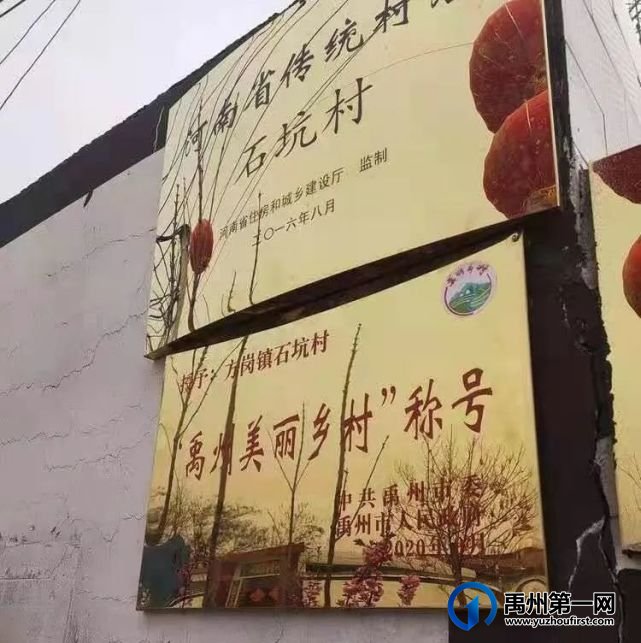 梦中的那片柿树林 梦中的那片柿树林
