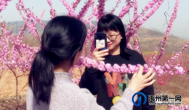 禹州这里有个“世外桃源”,快去打卡! 禹州这里有个“世外桃源”,快去打卡!