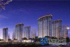禹州信友天润府12#楼取得商品房预售许可证