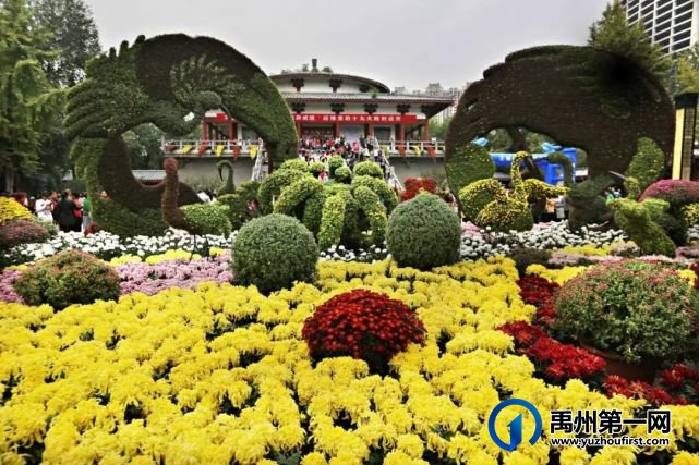 特价来袭!政府补贴!禹州人报名旅游即送杜康酒! 特价来袭!政府补贴!禹州人报名旅游即送杜康酒!