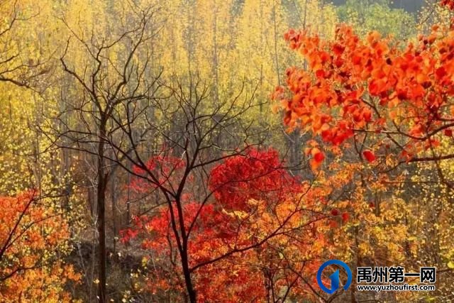 重磅!禹州鸠山镇将强势崛起!投资近7亿元! 重磅!禹州鸠山镇将强势崛起!投资近7亿元!