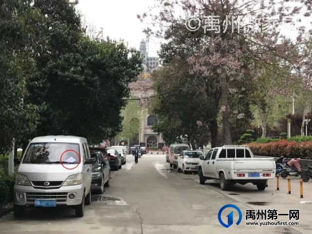 定了!禹州这条路4月6日起开始进行处罚!扩散周知! 定了!禹州这条路4月6日起开始进行处罚!扩散周知!