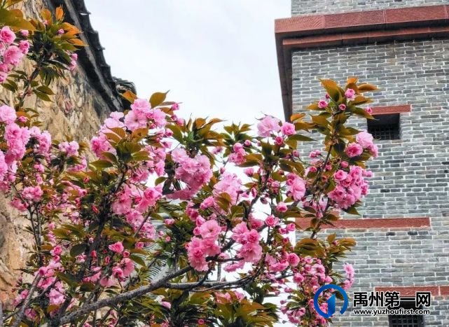 清明小长假,禹州神垕古镇景区带你“踏春趣”~ 清明小长假,禹州神垕古镇景区带你“踏春趣”~