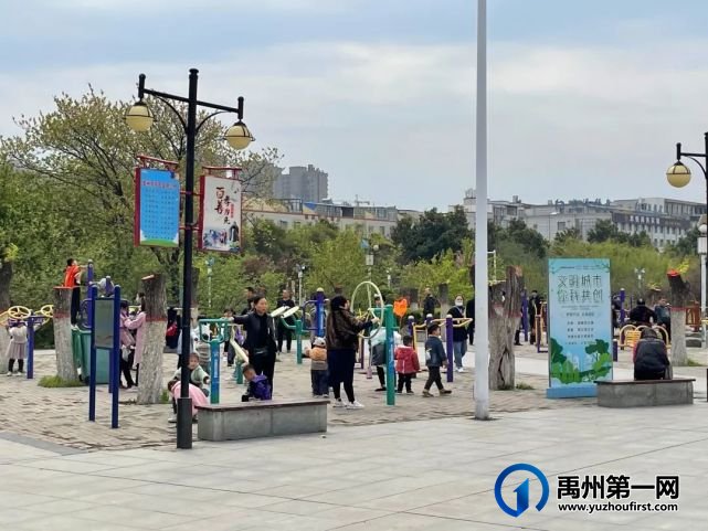 美哭了!禹州夏禹公园的牡丹开了! 美哭了!禹州夏禹公园的牡丹开了!