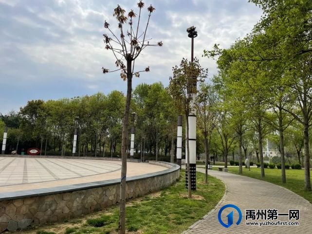 美哭了!禹州夏禹公园的牡丹开了! 美哭了!禹州夏禹公园的牡丹开了!