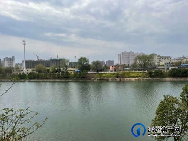 美哭了!禹州夏禹公园的牡丹开了! 美哭了!禹州夏禹公园的牡丹开了!
