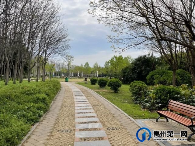 美哭了!禹州夏禹公园的牡丹开了! 美哭了!禹州夏禹公园的牡丹开了!
