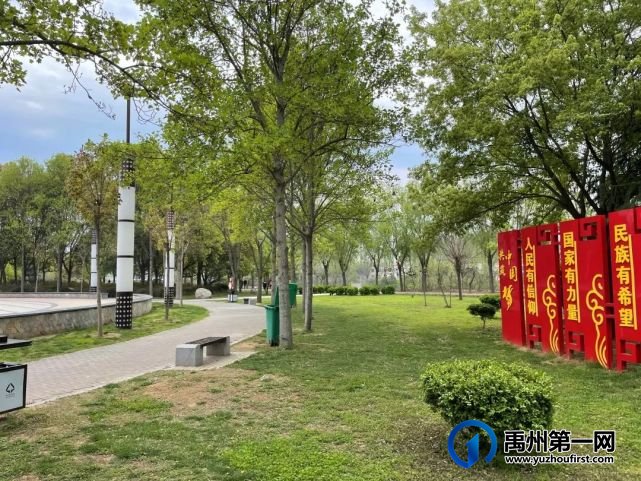 美哭了!禹州夏禹公园的牡丹开了! 美哭了!禹州夏禹公园的牡丹开了!