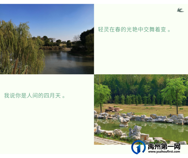 林溪尚院春风把我带给你丨四月湿润了空气 林溪尚院春风把我带给你丨四月湿润了空气