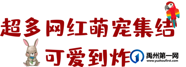 禹州大事件!皇家大马戏空降绿城蘭亭!带熊孩子们看表演啦! 禹州大事件!皇家大马戏空降绿城蘭亭!带熊孩子们看表演啦!