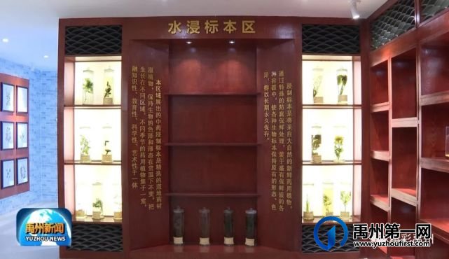 1084种药材!“药都”禹州由何而来? 1084种药材!“药都”禹州由何而来?