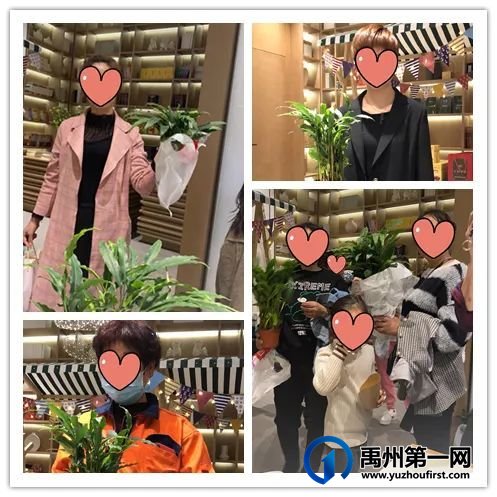 百余份情人香暖心送业主!禹州建业给您“花”式宠爱! 百余份情人香暖心送业主!禹州建业给您“花”式宠爱!