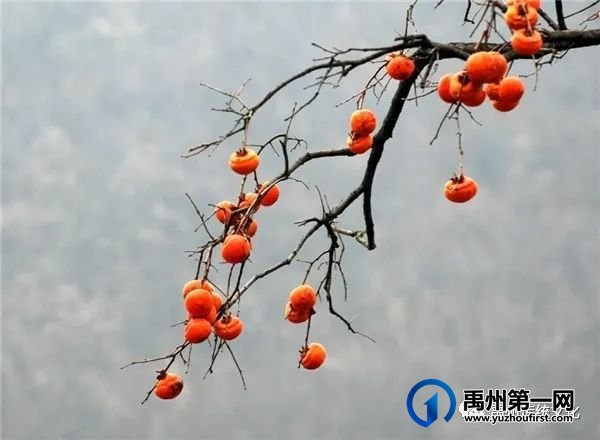 禹州传统文化||最幸福的重逢(散文世界) 禹州传统文化||最幸福的重逢(散文世界)