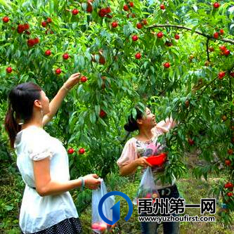 许昌禹州市地球之窗国际旅游区2021年7月1日正式开园营业 许昌禹州市地球之窗国际旅游区2021年7月1日正式开园营业