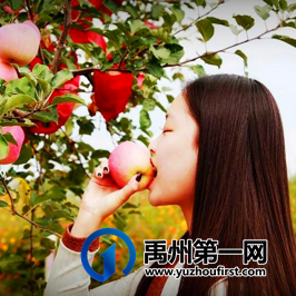 许昌禹州市地球之窗国际旅游区2021年7月1日正式开园营业 许昌禹州市地球之窗国际旅游区2021年7月1日正式开园营业
