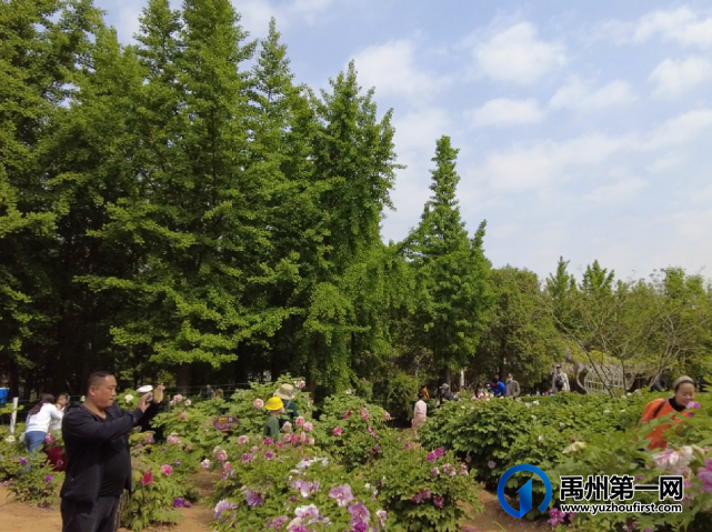 龙之翔禹王宫业主洛阳一日游圆满落幕! 龙之翔禹王宫业主洛阳一日游圆满落幕!