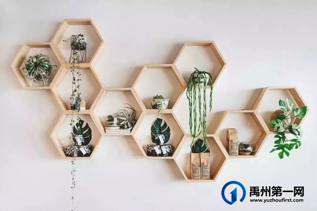 禹州天润府多肉DIY来袭,快来约会你的“小鲜肉”! 禹州天润府多肉DIY来袭,快来约会你的“小鲜肉”!