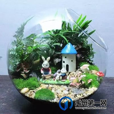 禹州翰林名居微景观DIY 把自然带回家 禹州翰林名居微景观DIY 把自然带回家