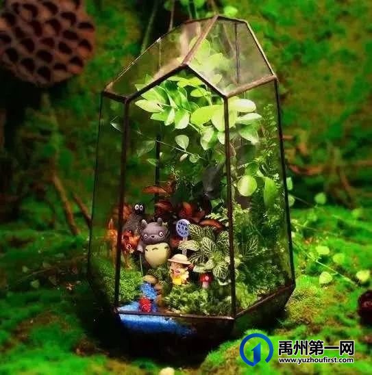 禹州翰林名居微景观DIY 把自然带回家 禹州翰林名居微景观DIY 把自然带回家