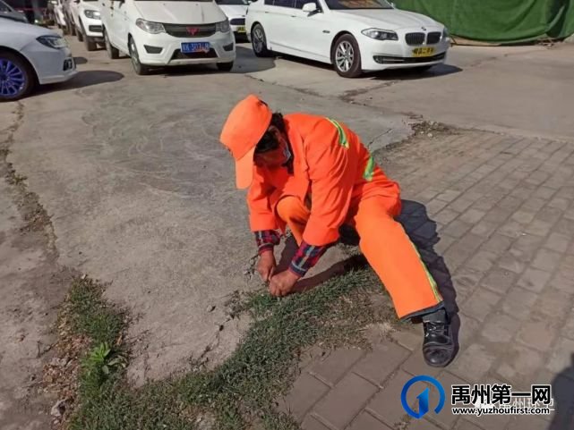 禹州环卫:开展爱国卫生运动 扮靓城市环境卫生 禹州环卫:开展爱国卫生运动 扮靓城市环境卫生