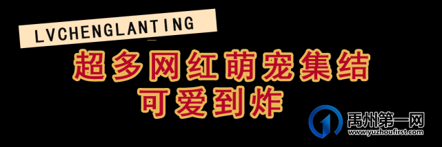震撼!皇家马戏团空降禹州,另有门票、电影票全城免费送! 震撼!皇家马戏团空降禹州,另有门票、电影票全城免费送!